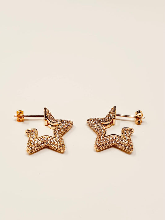 Coppia orecchini “Shining Star” Gold - 333HOPE333